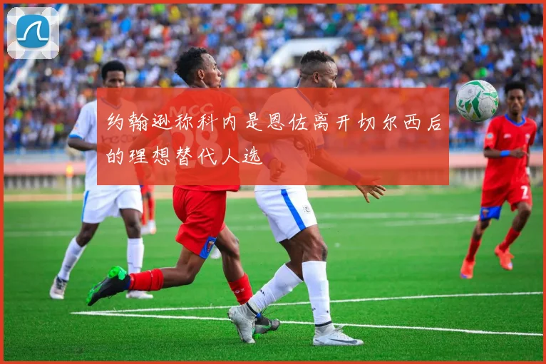 约翰逊称科内是恩佐离开切尔西后的理想替代人选